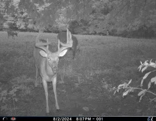 $1,700,000 | 4974 Edgar Dillard Road, Greenbrier, TN 37073