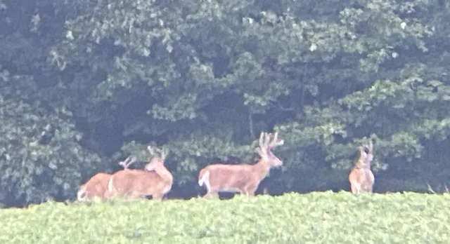 $1,700,000 | 4974 Edgar Dillard Road, Greenbrier, TN 37073