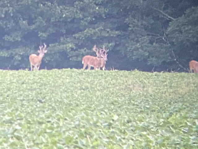 $1,700,000 | 4974 Edgar Dillard Road, Greenbrier, TN 37073