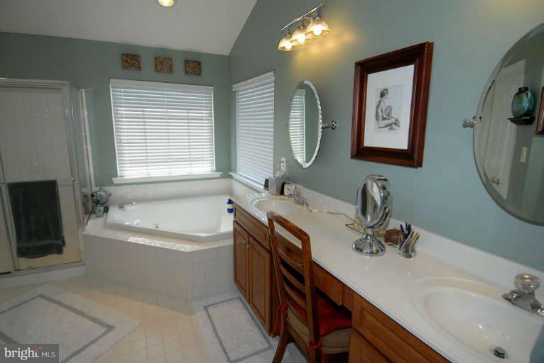 24778 Prairie Grass Drive Stone Ridge, VA 20105 - Photo 19 of 24 Bath (Master)