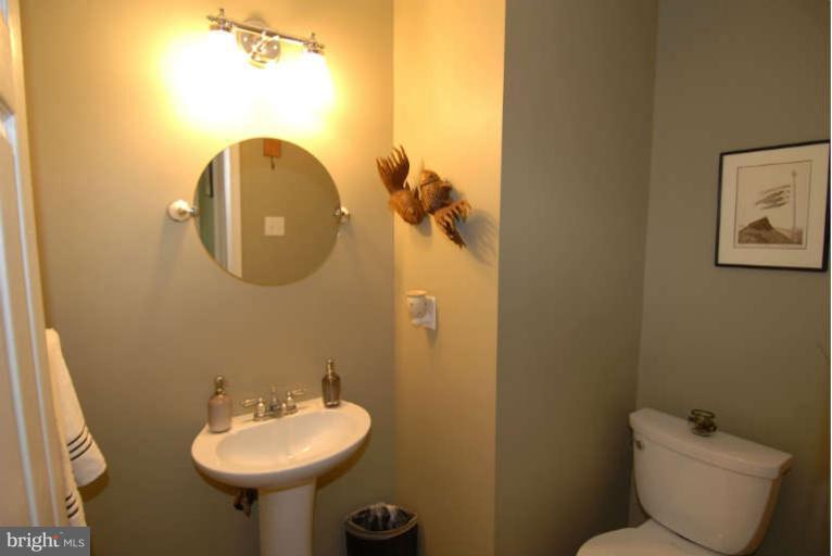 24778 Prairie Grass Drive Stone Ridge, VA 20105 - Photo 3 of 24 Bath