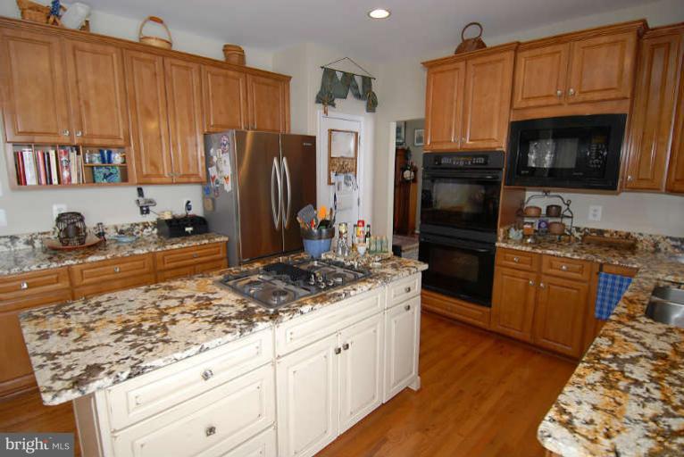 24778 Prairie Grass Drive Stone Ridge, VA 20105 - Photo 10 of 24 Kitchen