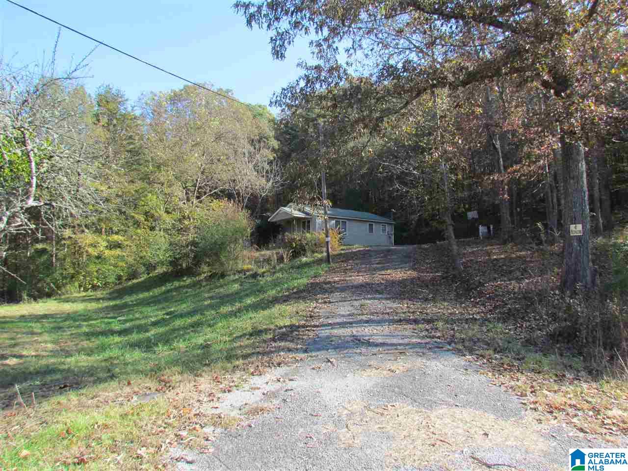 55 Jug Hollow Road Piedmont, AL 36272 - Photo 12 of 19