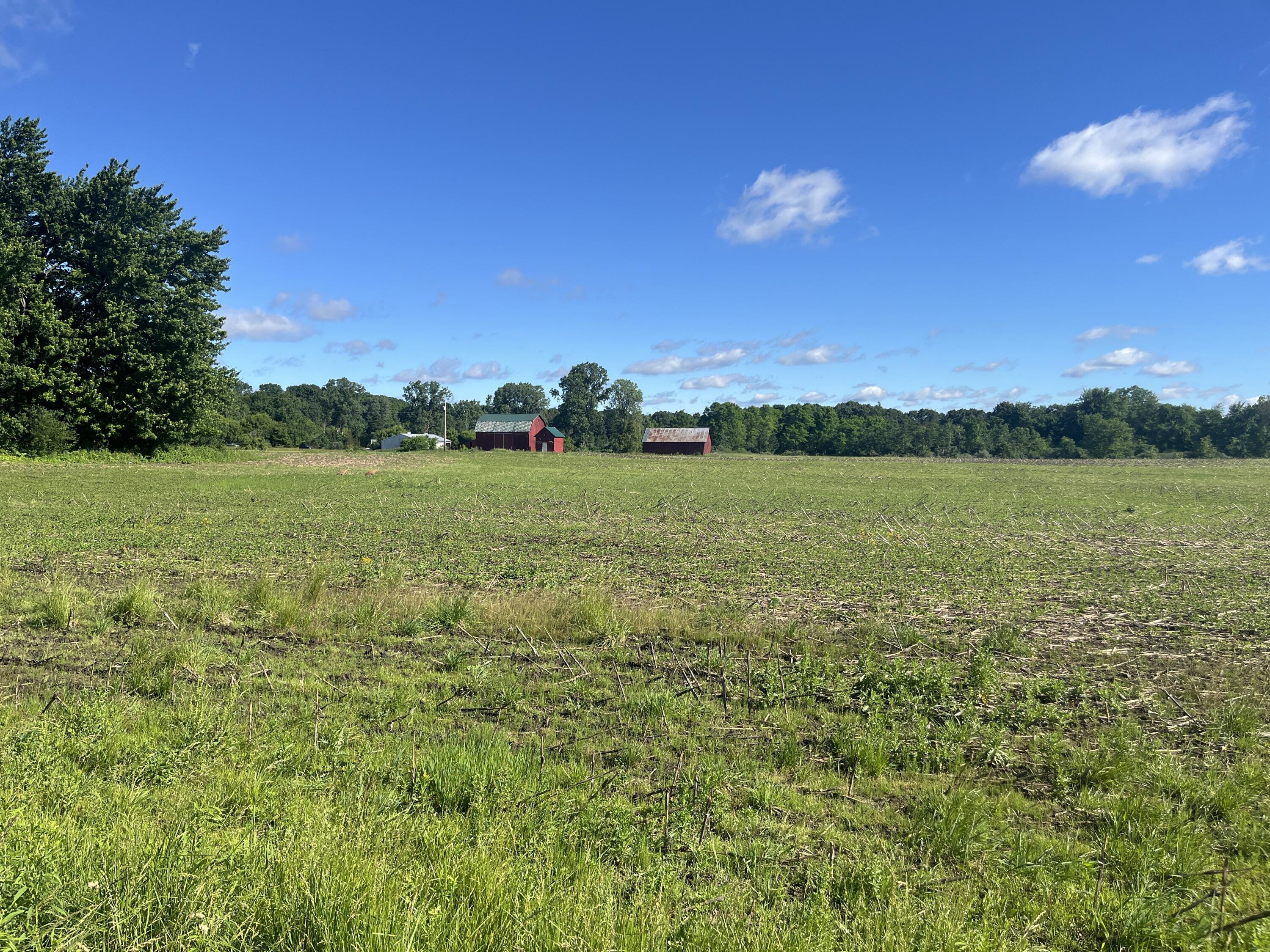 0 Fahrner Road Chelsea, MI 48118 - Photo 15 of 31 Fahrner Rd - 3