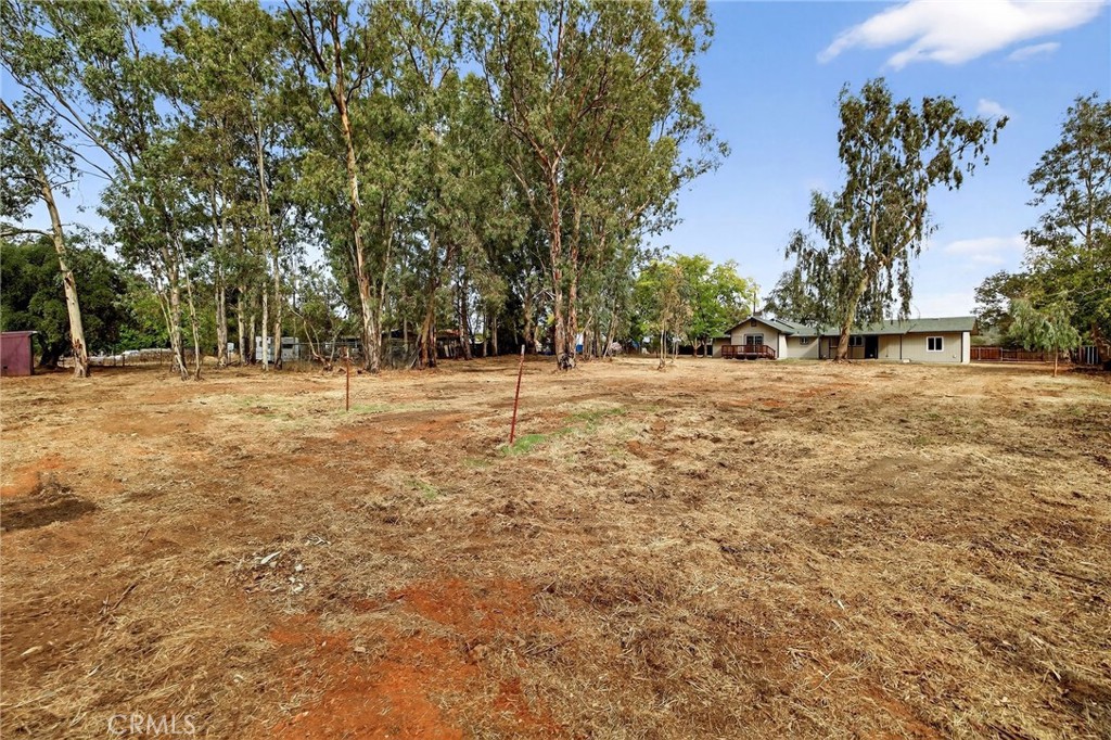 7040 Fulton Avenue Palermo, CA 95968 - Photo 39 of 53 a backyard of a house with large trees
