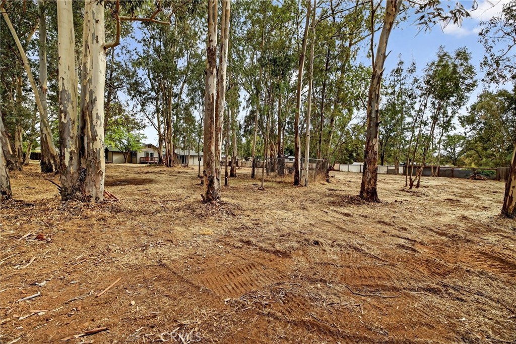7040 Fulton Avenue Palermo, CA 95968 - Photo 46 of 53 a view of empty space with trees