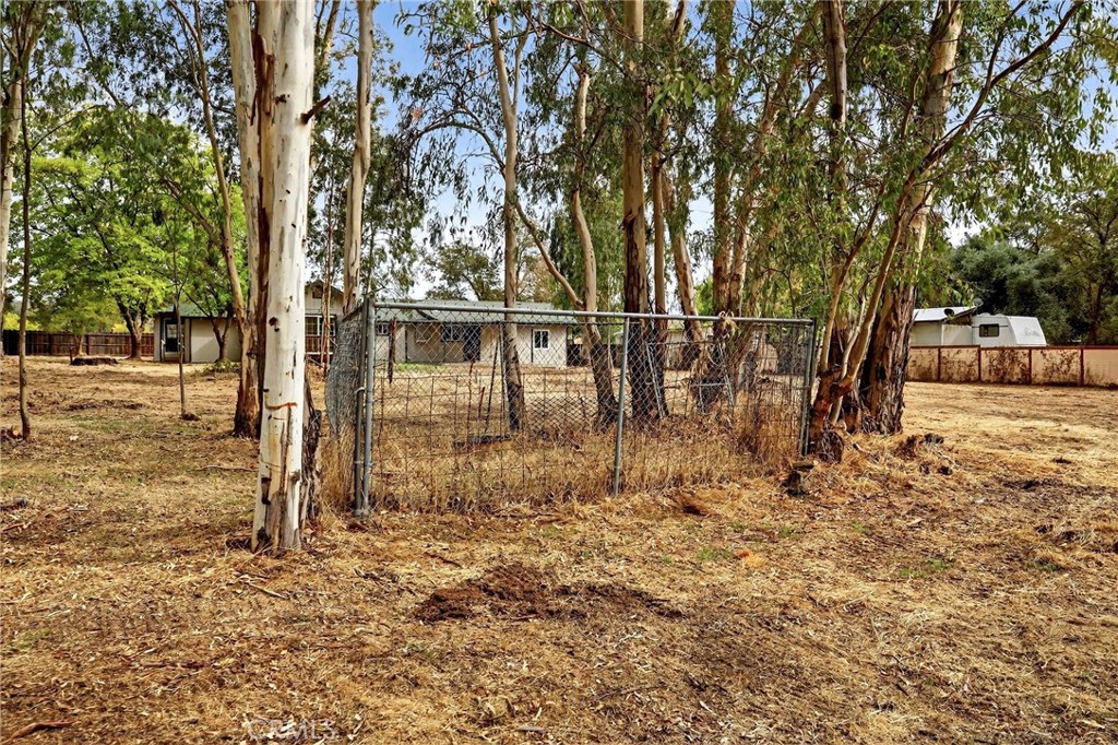 7040 Fulton Avenue Palermo, CA 95968 - Photo 47 of 53 a view of outdoor space yard and patio