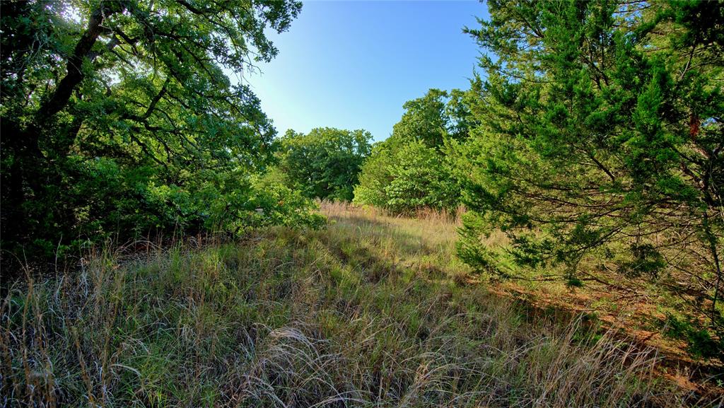 218 Illinois Bend Road St. Jo, TX 76265 - Photo 8 of 16 Gallery Image 8