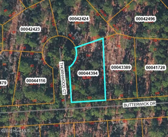 $8,000 | Tbd Tbd Thornwood Court, Cameron, NC 28326