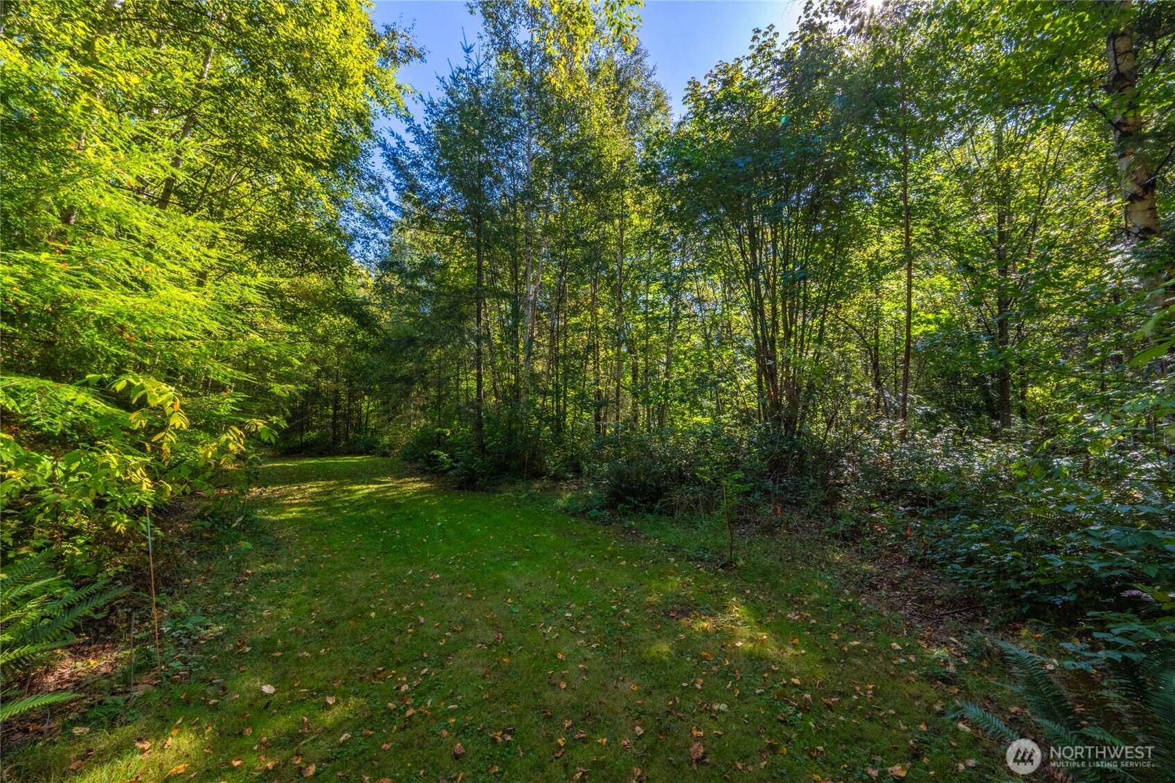 3179 Velvet Lane Custer, WA 98240 - Photo 36 of 40