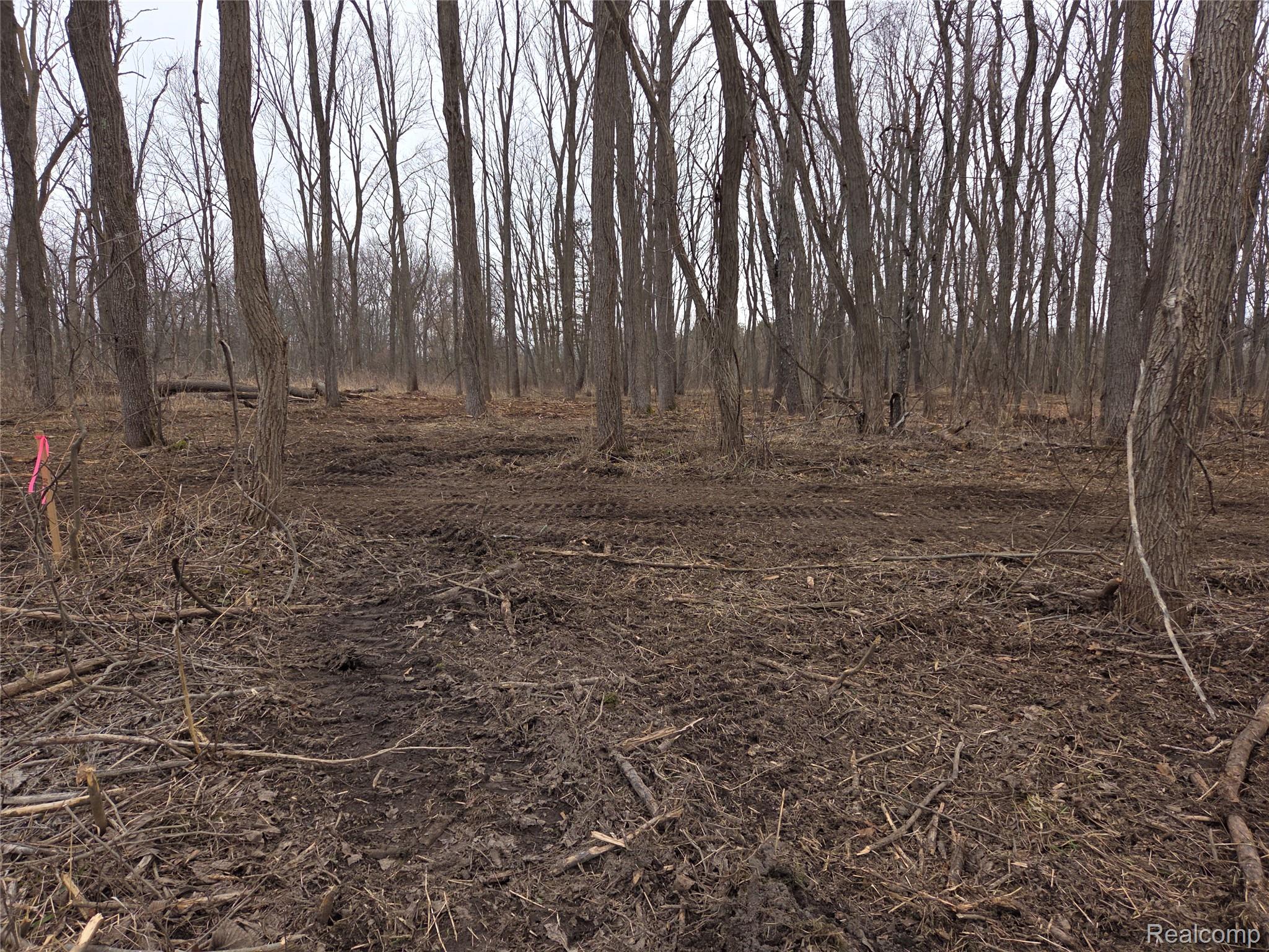 Parcel C Cullen Rd Parcel C Cullen Road Fenton, MI 48430 - Photo 1 of 1 parcel c.jpg