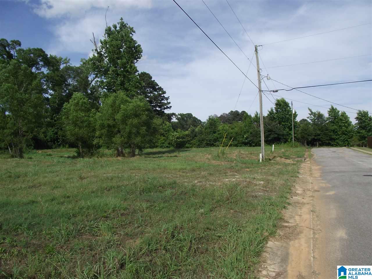 0 Logan Farms Road, Unit 1 Vance, AL 35490 - Photo 9 of 18