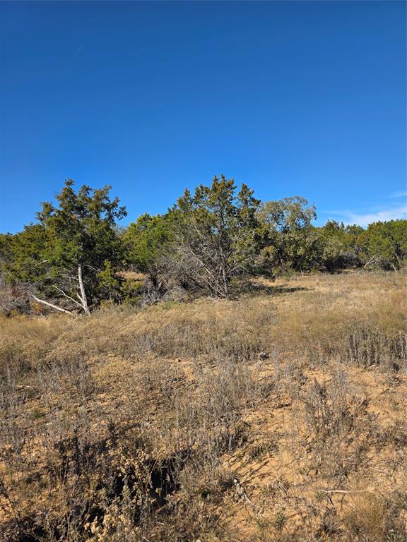 242.442-acres McClure Ranch Road Palo Pinto, TX 76484 - Photo 9 of 32