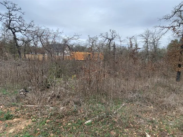 a view of a dry yard with trees