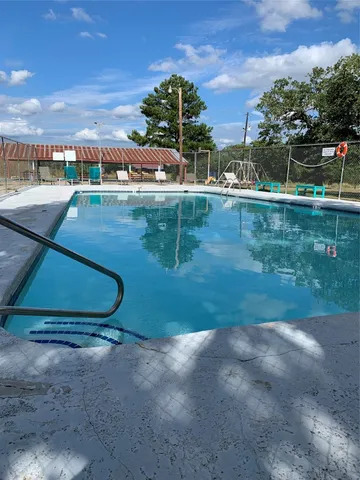a view of a forest with lots of trees