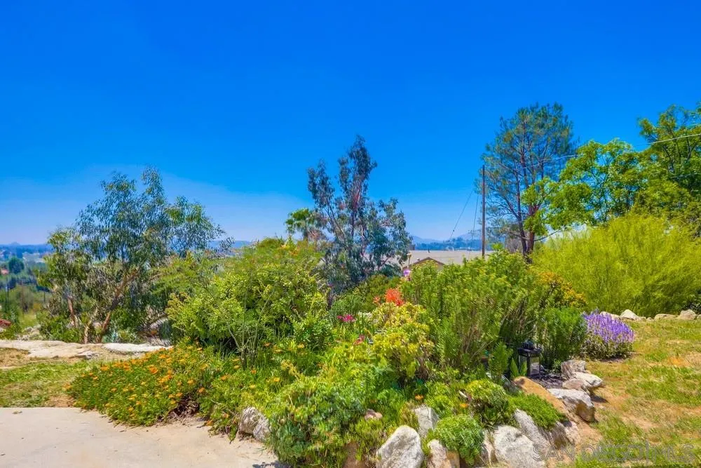 460 Pile Street Ramona, CA 92065 - Photo 22 of 25 a view of a flower in a garden