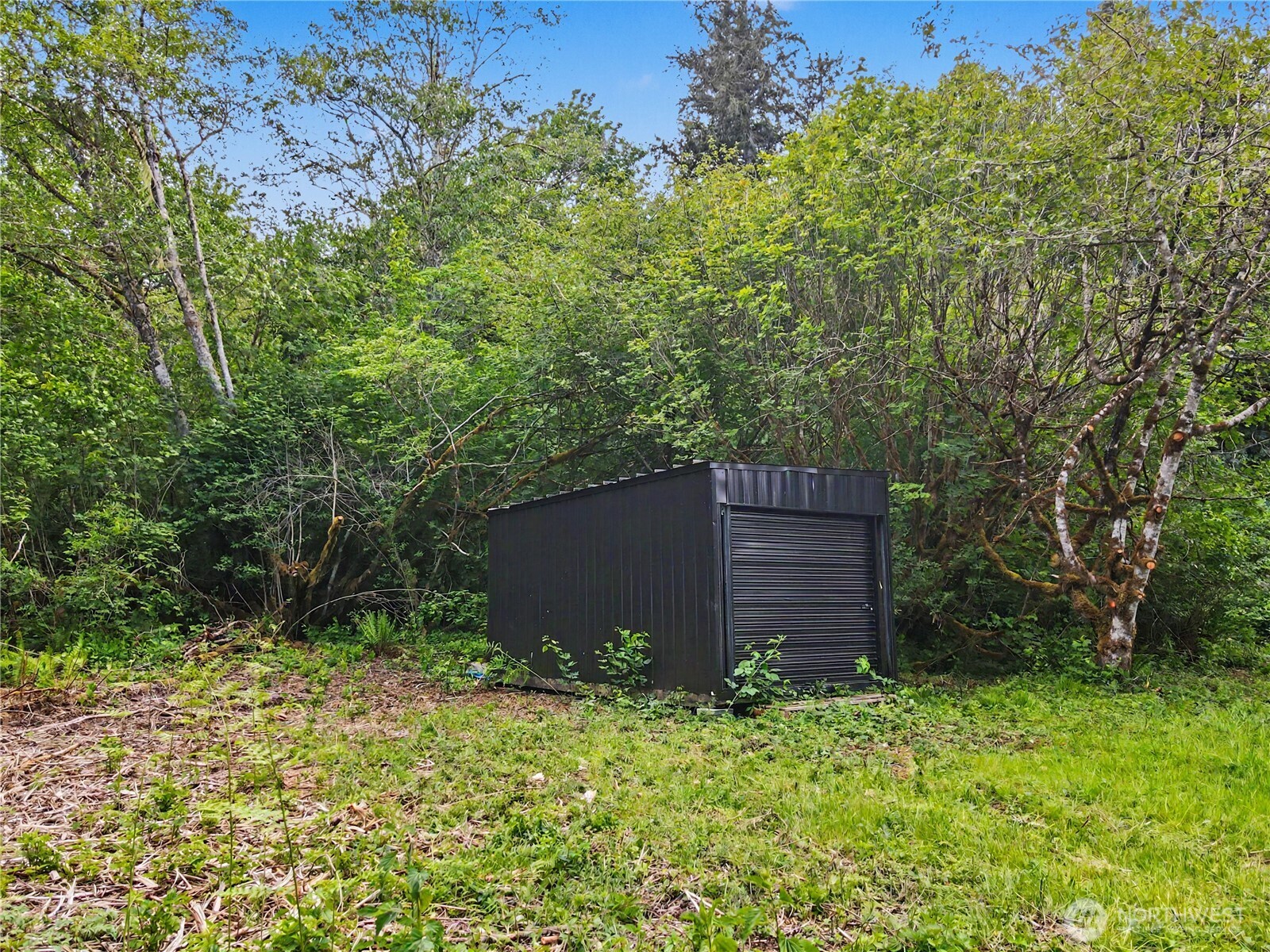 0 Wildwood Road Quilcene, WA 98376 - Photo 11 of 36