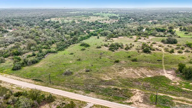 a view of a yard with a tree