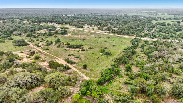 a view of a city with lush green forest