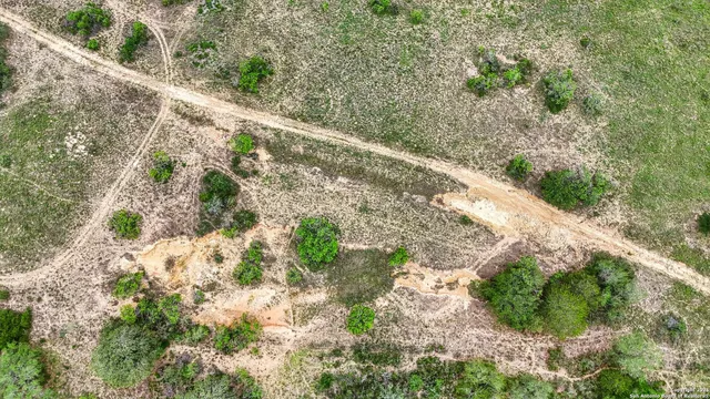 a view of a yard with plants and wooden fence