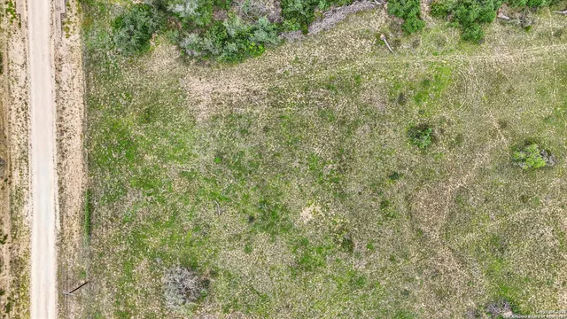 a close up of a plant