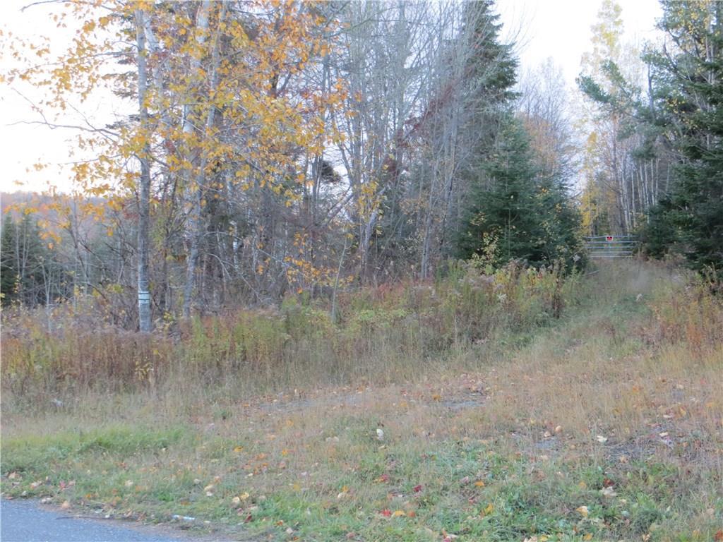 0 Clark Brook Road Wallagrass, ME 04781 - Photo 5 of 6 Paved Road to the driveway.