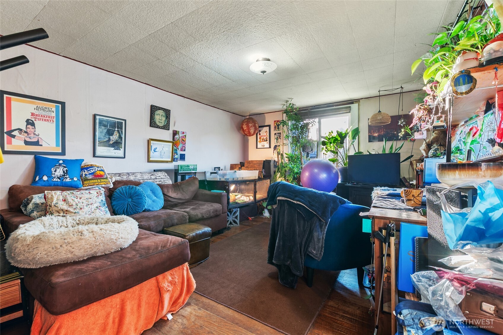 721 North 88th Street Seattle, WA 98103 - Photo 14 of 19