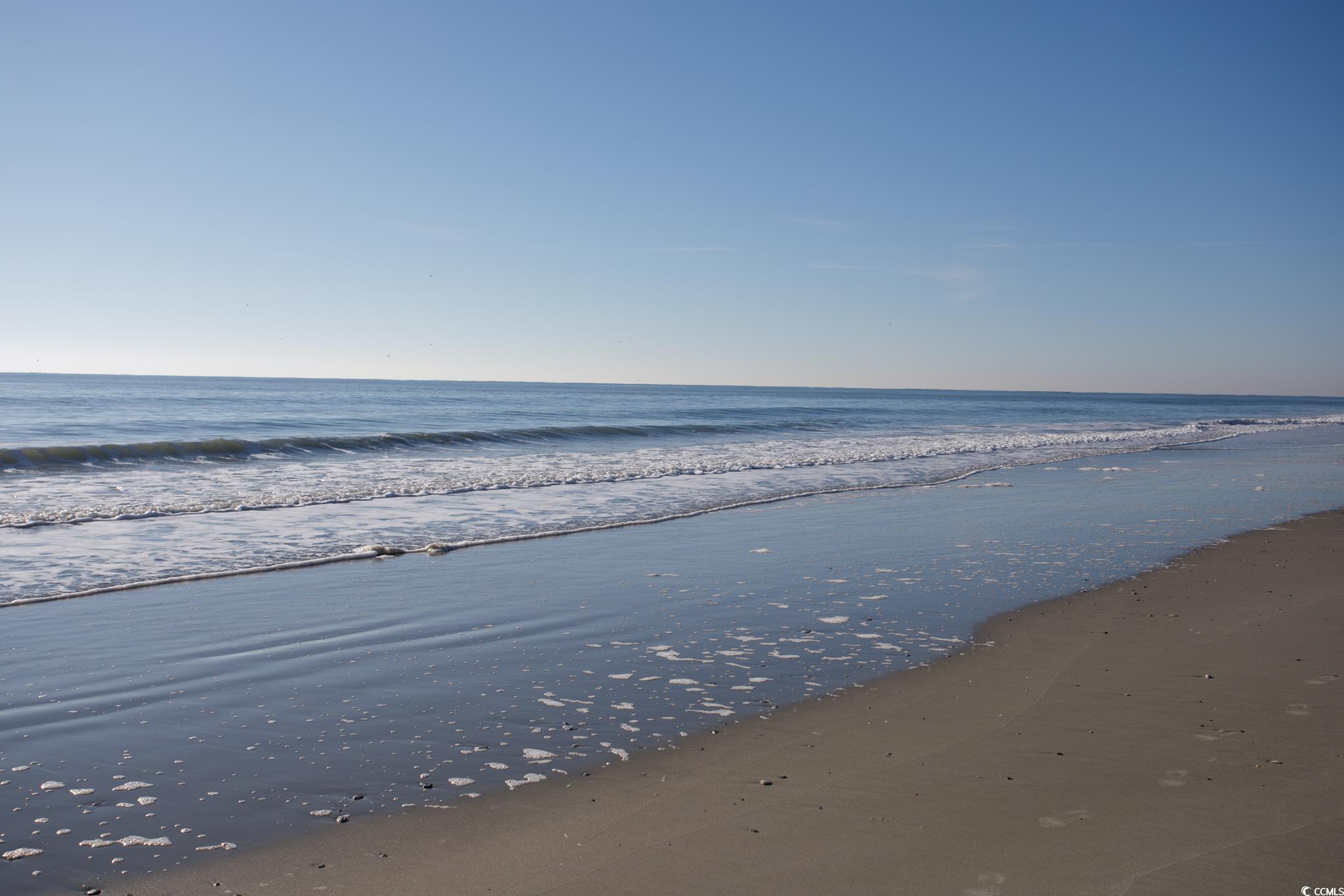 310 75th Avenue North, Unit 10 Myrtle Beach, SC 29572 - Photo 38 of 39