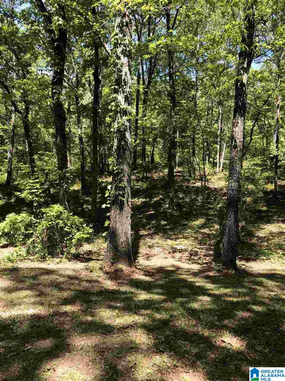 111 County Road 111 Montevallo, AL 35115 - Photo 19 of 46