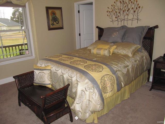 620 Mor Street Gillespie, IL 62033 - Photo 17 of 63 Gallery Image 17
