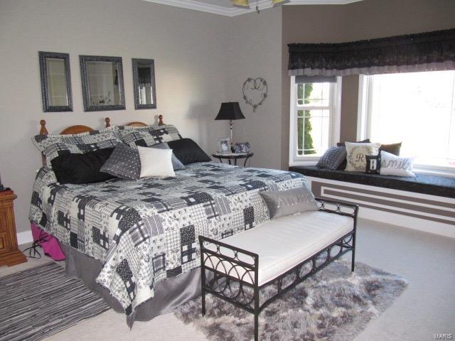 620 Mor Street Gillespie, IL 62033 - Photo 18 of 63 Gallery Image 18