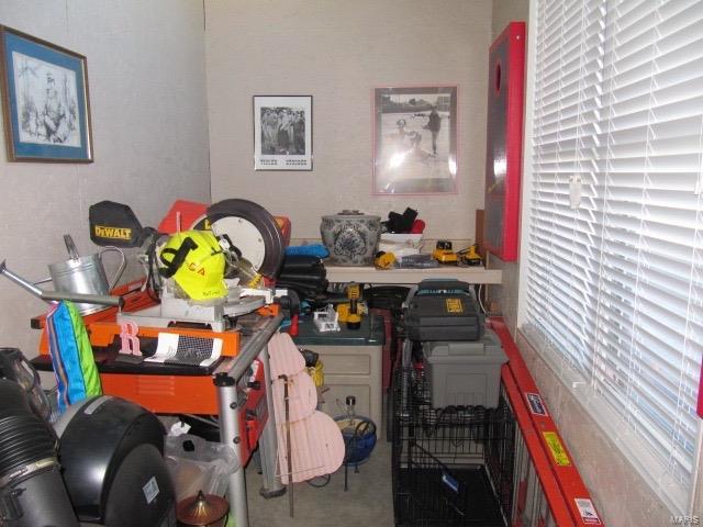 620 Mor Street Gillespie, IL 62033 - Photo 60 of 63 Gallery Image 60