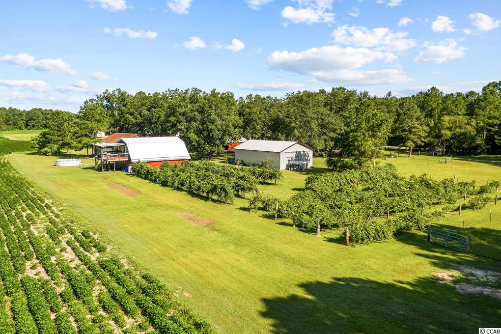 1076 McNabb Road Loris, SC 29569 - Photo 28 of 36 Gallery Image 28