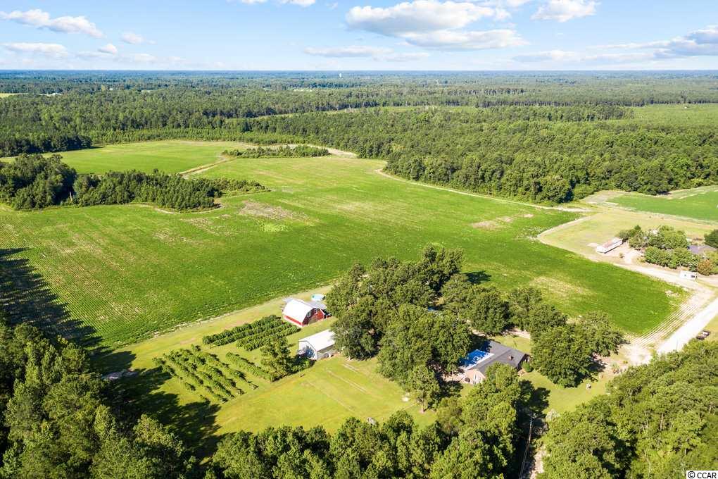 1076 McNabb Road Loris, SC 29569 - Photo 35 of 36 Gallery Image 35