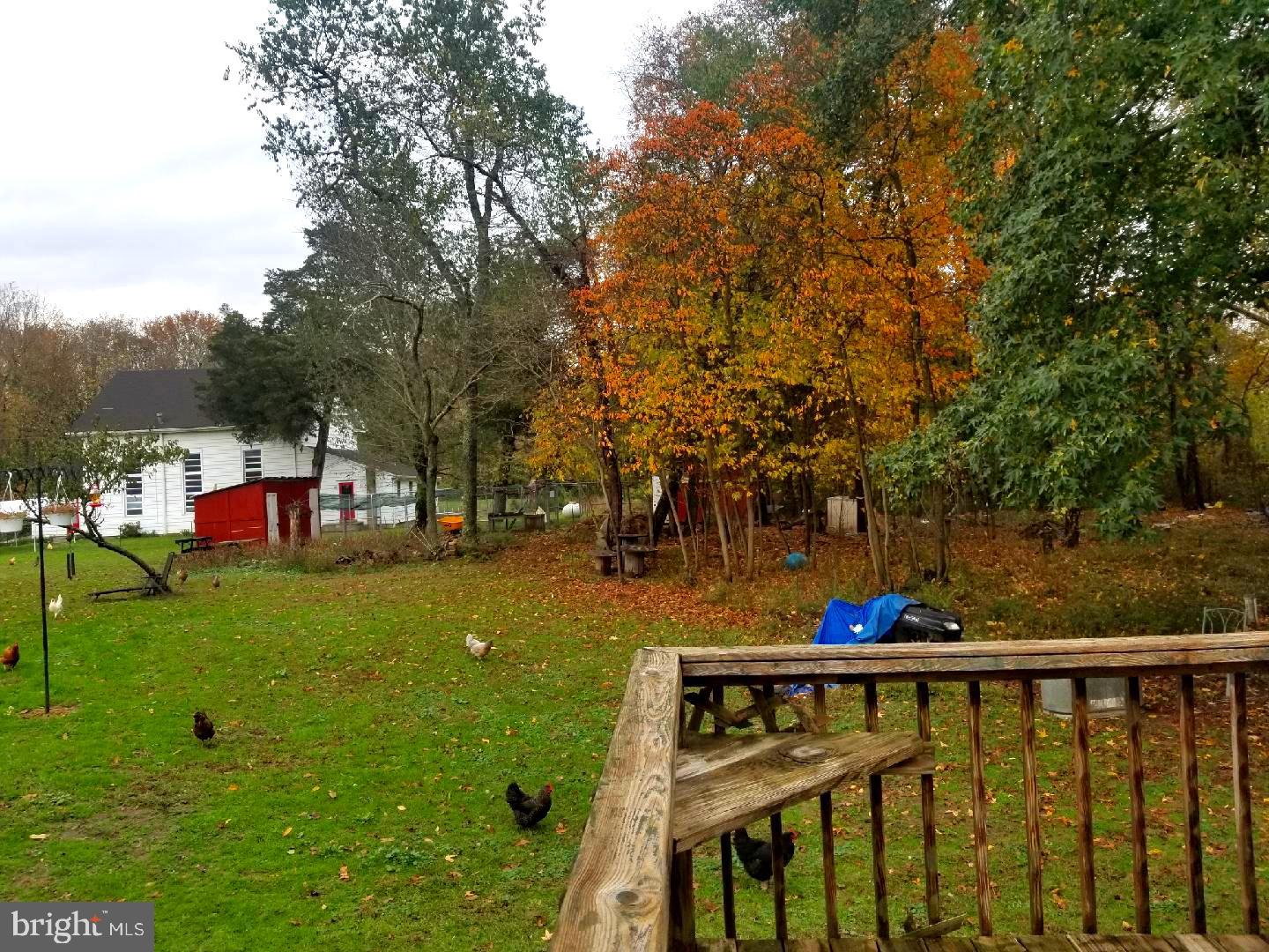 774 Yorketown Road Woodstown, NJ 08098 - Photo 22 of 25 View of backyard from Deck