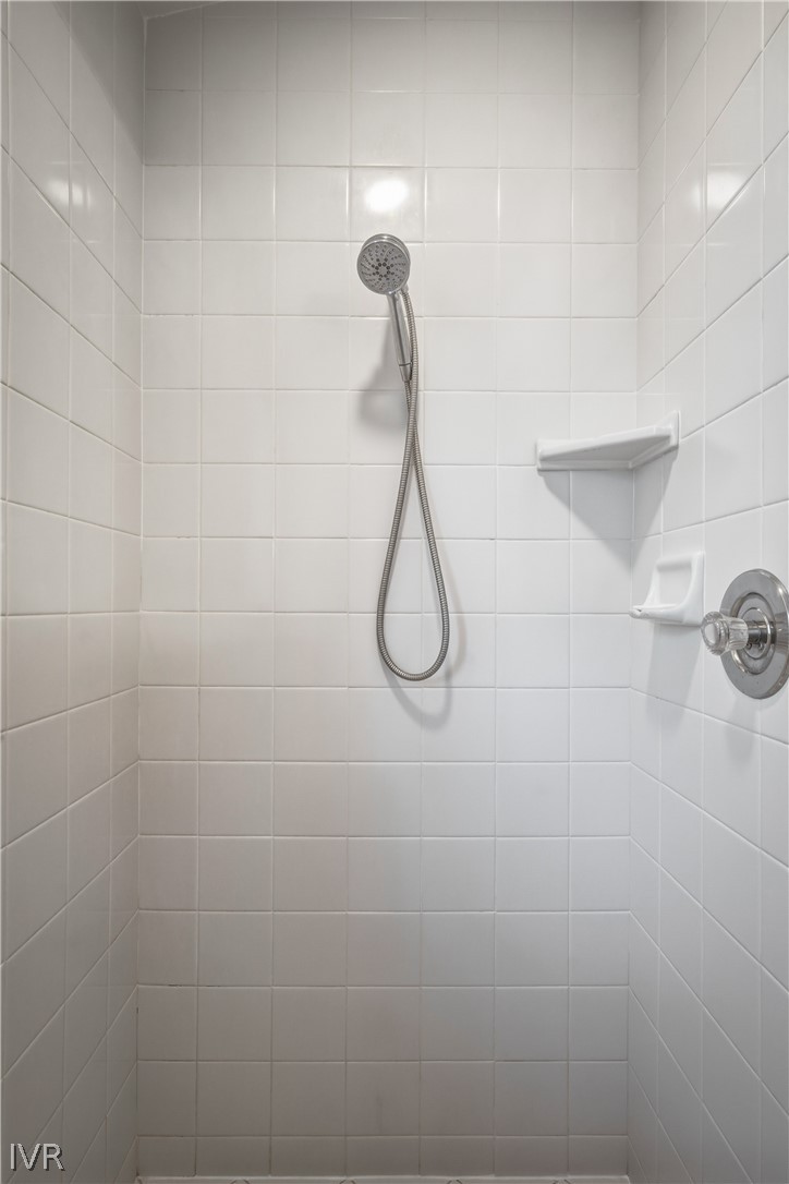 858 Jennifer Street Incline Village, NV 89451 - Photo 24 of 44 a bathroom with a shower
