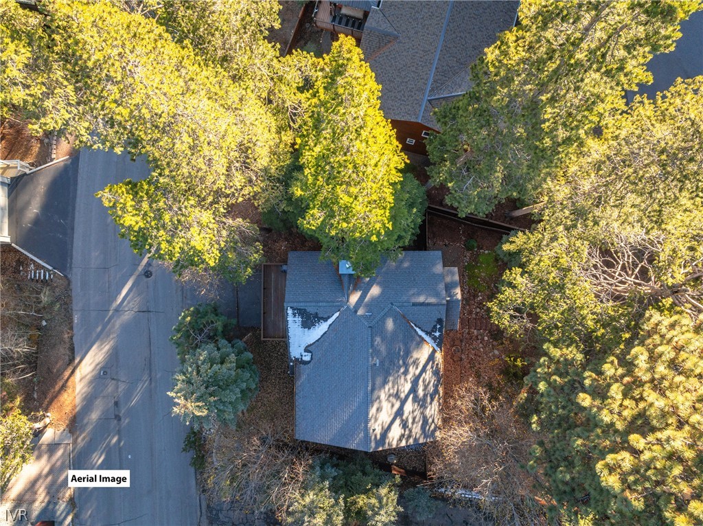 858 Jennifer Street Incline Village, NV 89451 - Photo 42 of 44 an aerial view of a residential houses with yard