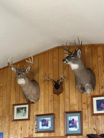 $235,000 | 11775 Highway 71, Northome, MN 56661