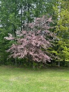 $235,000 | 11775 Highway 71, Northome, MN 56661