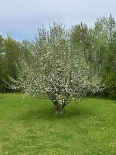 $235,000 | 11775 Highway 71, Northome, MN 56661