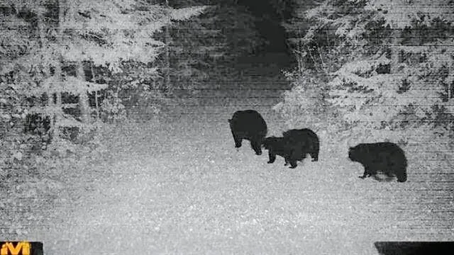 $235,000 | 11775 Highway 71, Northome, MN 56661