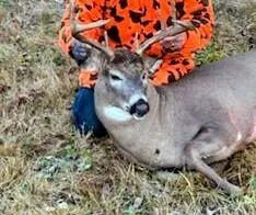 $235,000 | 11775 Highway 71, Northome, MN 56661