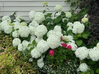 $235,000 | 11775 Highway 71, Northome, MN 56661