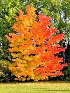 $235,000 | 11775 Highway 71, Northome, MN 56661