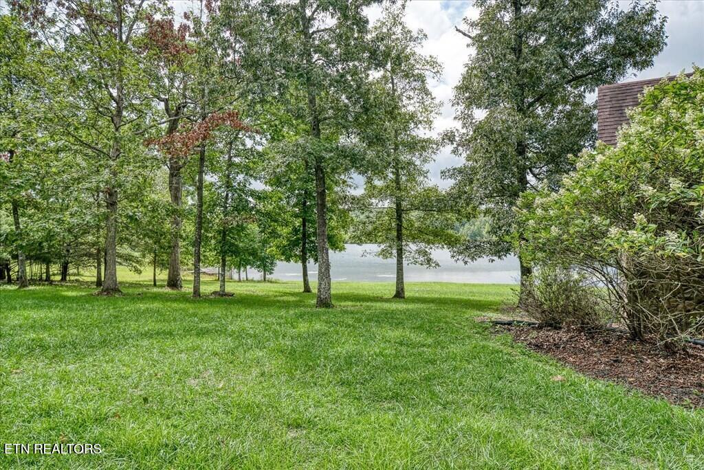 2442 Long Branch Road Spencer, TN 38585 - Photo 45 of 52 long43