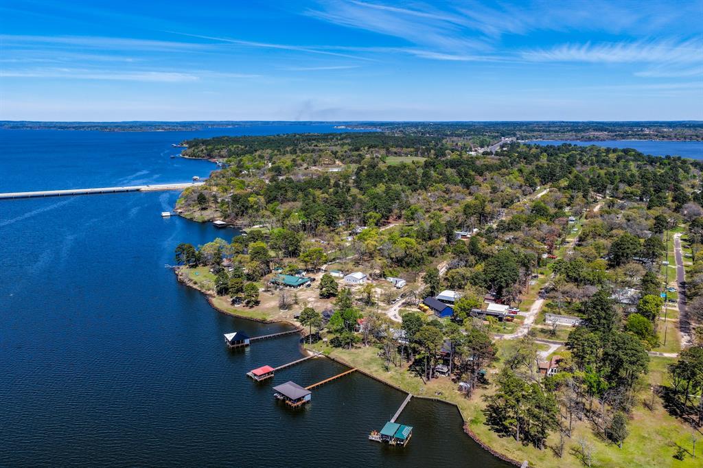 23351 Wateridge Loop Flint, TX 75762 - Photo 3 of 36