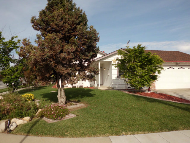 4417 Williams Road San Jose, CA 95129 - Photo 6 of 10 a front view of a house with garden