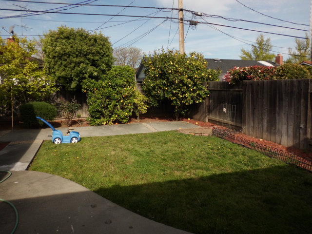 4417 Williams Road San Jose, CA 95129 - Photo 8 of 10 a view of a backyard