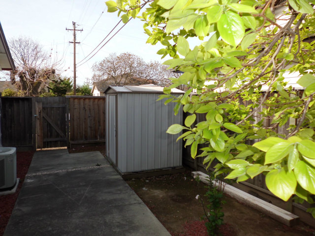 4417 Williams Road San Jose, CA 95129 - Photo 9 of 10 a backyard of a house with lots of green space