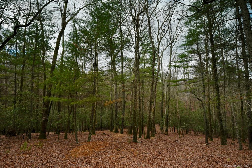 41 Dividing Ridge Trail, Unit 11 Arden, NC 28704 - Photo 1 of 14 Gallery Image 1